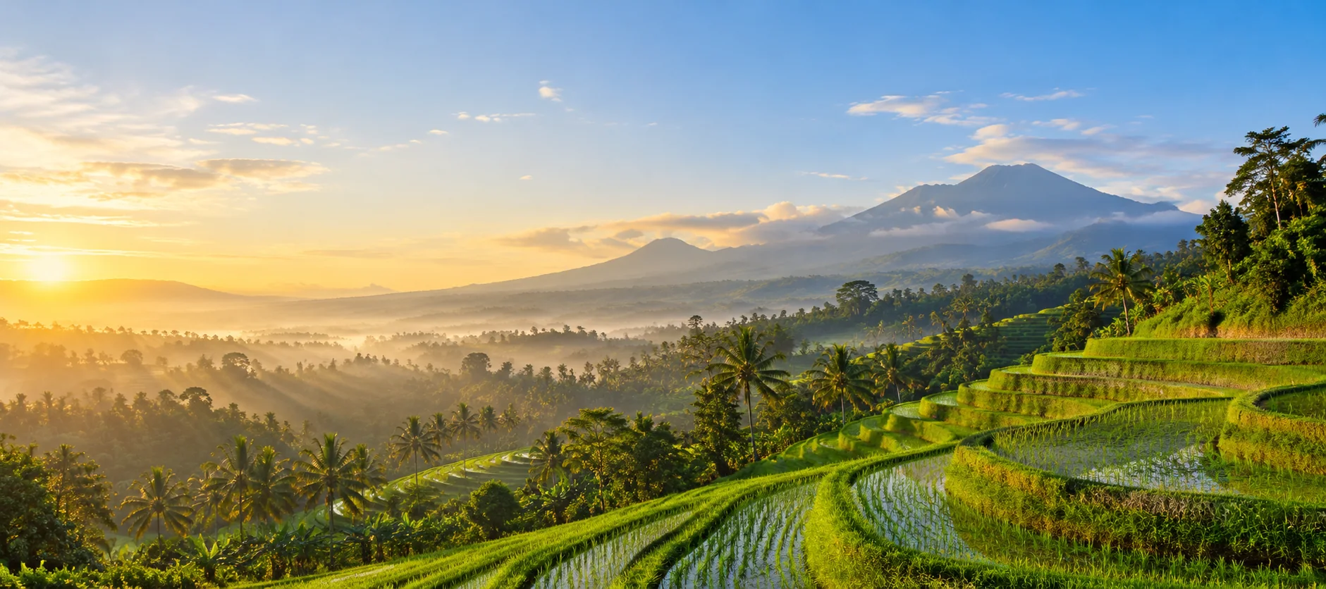 Green rice terraces in Bali, Indonesia